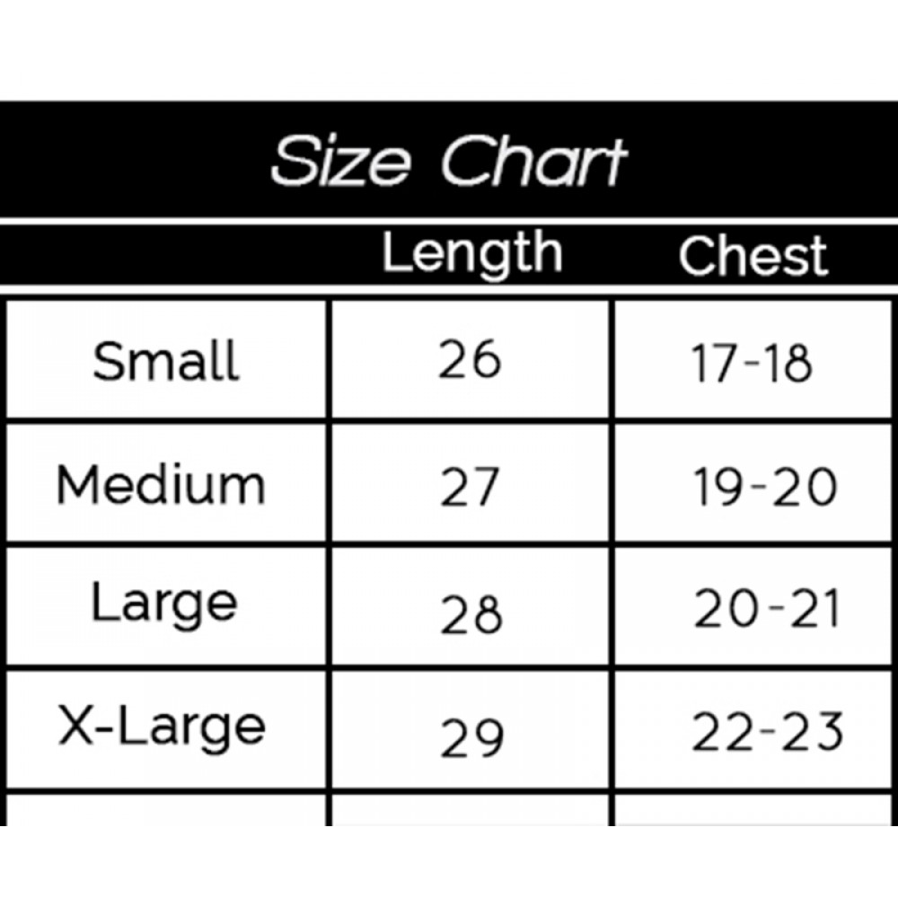 Size Chart For American Eagle